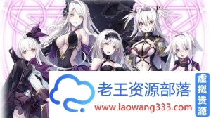 公主 塞克利菲雅娜 完整正式版 付：DLC全CG存档 [6G]-老王资源部落