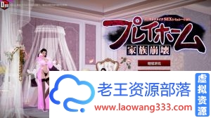 [3D互动/汉化]动态 家族崩坏：Playhome V12.1 终极整合版+人物档[40G]-老王资源部落