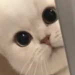 永远都是的头像-老王资源部落