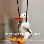 rtian732的头像-老王资源部落