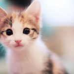 名字怎么改的头像-老王资源部落