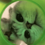 左手右手一个慢动作的头像-老王资源部落