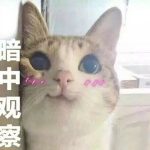 汉堡的头像-老王资源部落