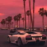 山本，我日你先人的头像-老王资源部落