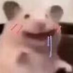 阿彬的头像-老王资源部落