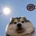 4399的头像-老王资源部落