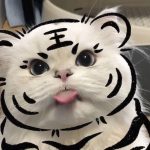 天真的头像-老王资源部落