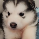 易下的头像-老王资源部落