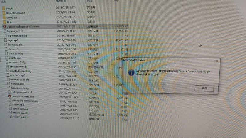 本人小白，这种情况该怎么办，还有就是两个exe的文件是一样的吗？-老王资源部落